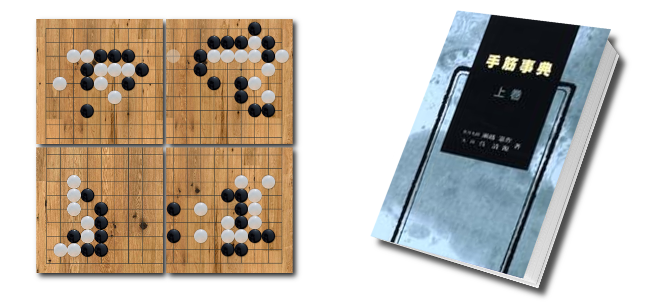 New Collection: Segoe Tesuji Dictionary